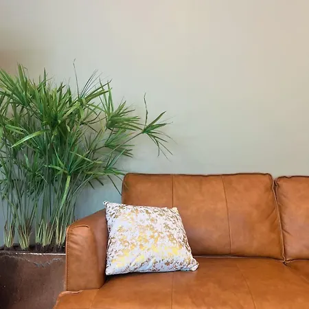 Lovely 1-bedroom With Patio And Sauna Appartement